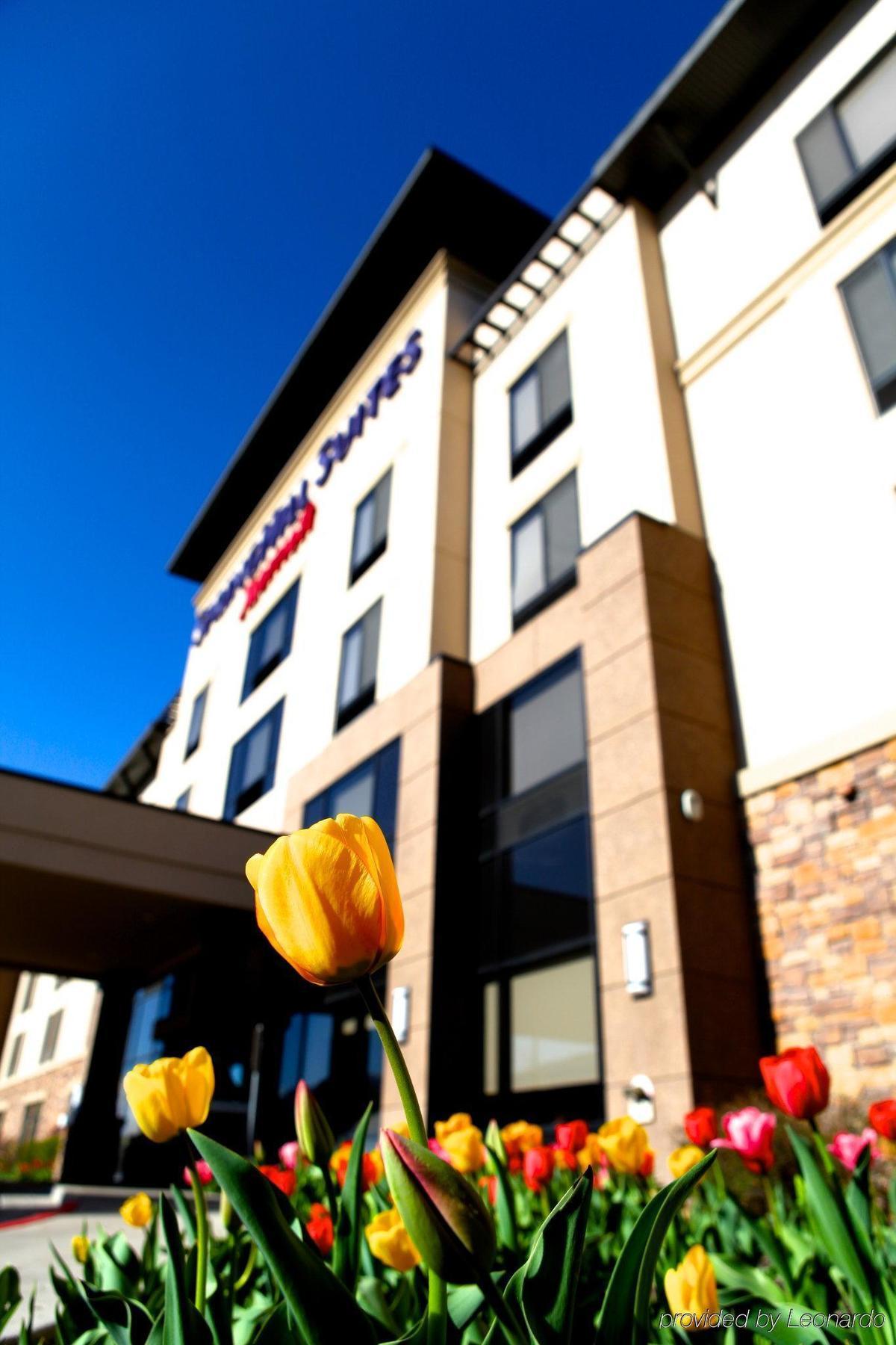 Springhill Suites By Marriott Logan Exterior photo